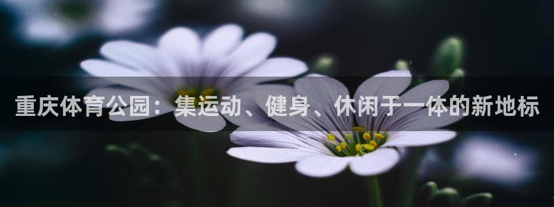 意昂体育4招商电话地址是多少：重庆体育公园：集运动、