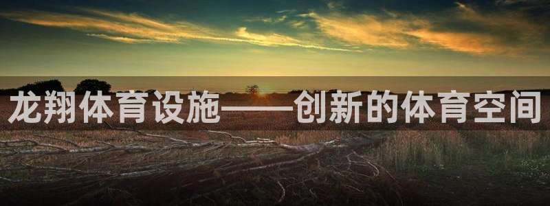 意昂4娱乐首页官网下载：龙翔体育设施——创新的体育空