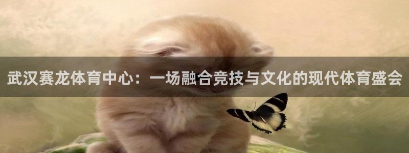 意昂4娱乐首页官网下载：武汉赛龙体育中心：一场融合竞