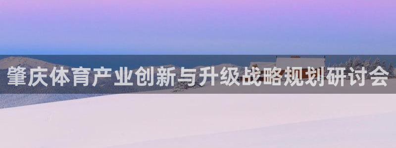 意昂4集团官网网址：肇庆体育产业创新与升级战略规划研