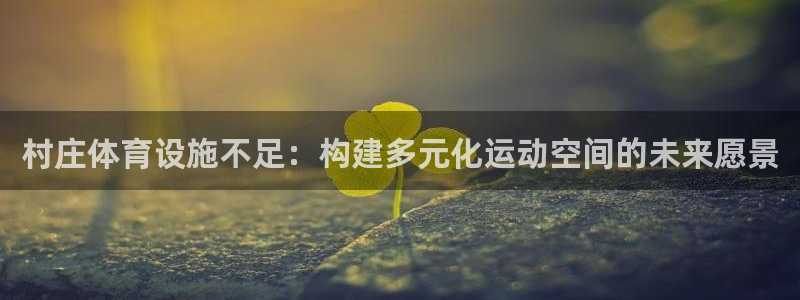 意昂4娱乐：村庄体育设施不足：构建多元化运动空间的未