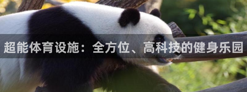 意昂4娱乐平台：超能体育设施：全方位、高科技的健身乐