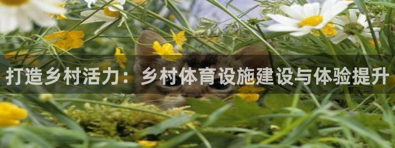 意昂体育4平台注册流程视频：打造乡村活力：乡村体育设