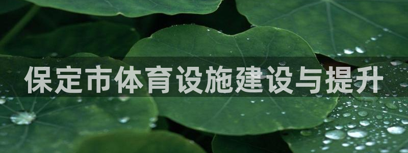 意昂4集团logo：保定市体育设施建设与提升