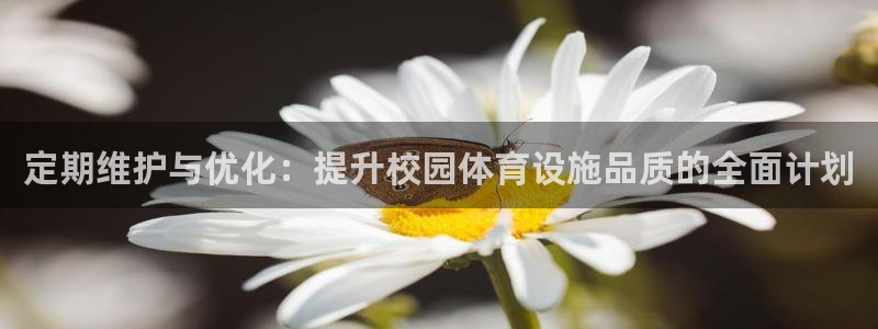 意昂体育4是干嘛的公司：定期维护与优化：提升校园体育