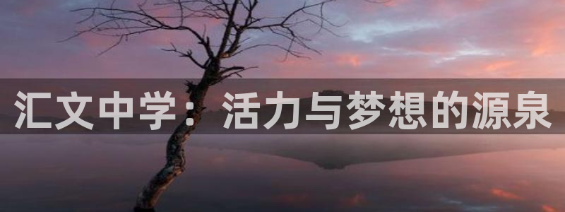 意昂4娱乐：汇文中学：活力与梦想的源泉
