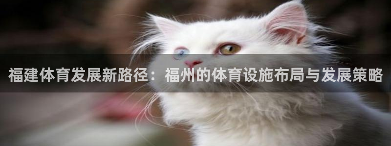 意昂体育4开户：福建体育发展新路径：福州的体育设施布