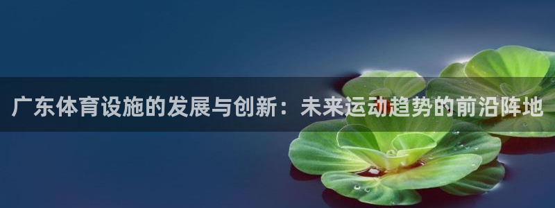 意昂体育4招商电话是多少：广东体育设施的发展与创新：