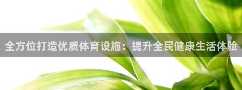 意昂体育4开户：全方位打造优质体育设施：提升全民健康