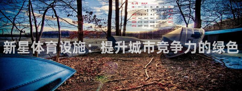 意昂体育4招商：新星体育设施：提升城市竞争力的绿色