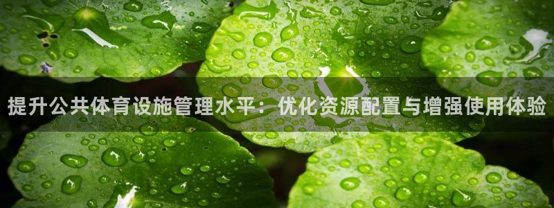 意昂4集团E.ON：提升公共体育设施管理水平：优化资