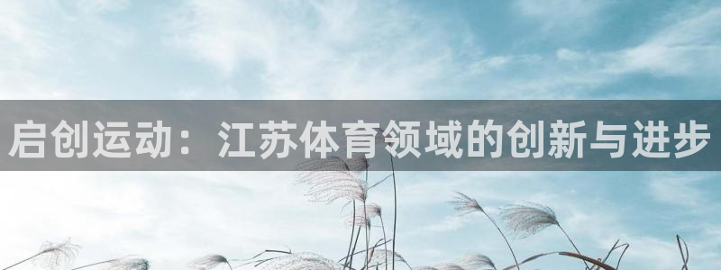 意昂4神州：启创运动：江苏体育领域的创新与进步