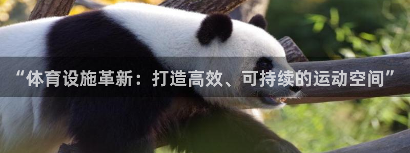 意昂体育4招商电话号码：“体育设施革新：打造高效、可