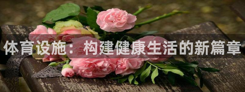 意昂平台体育：体育设施：构建健康生活的新篇章